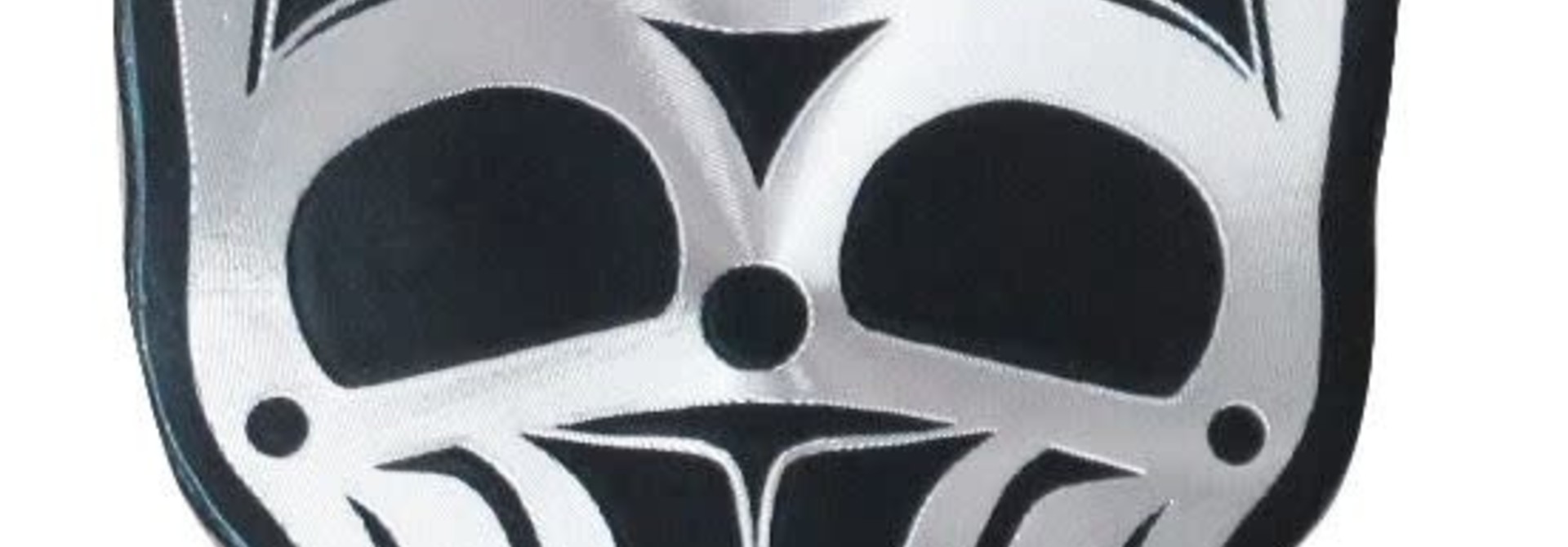 Metallic Magnet- Skull by James Johnson