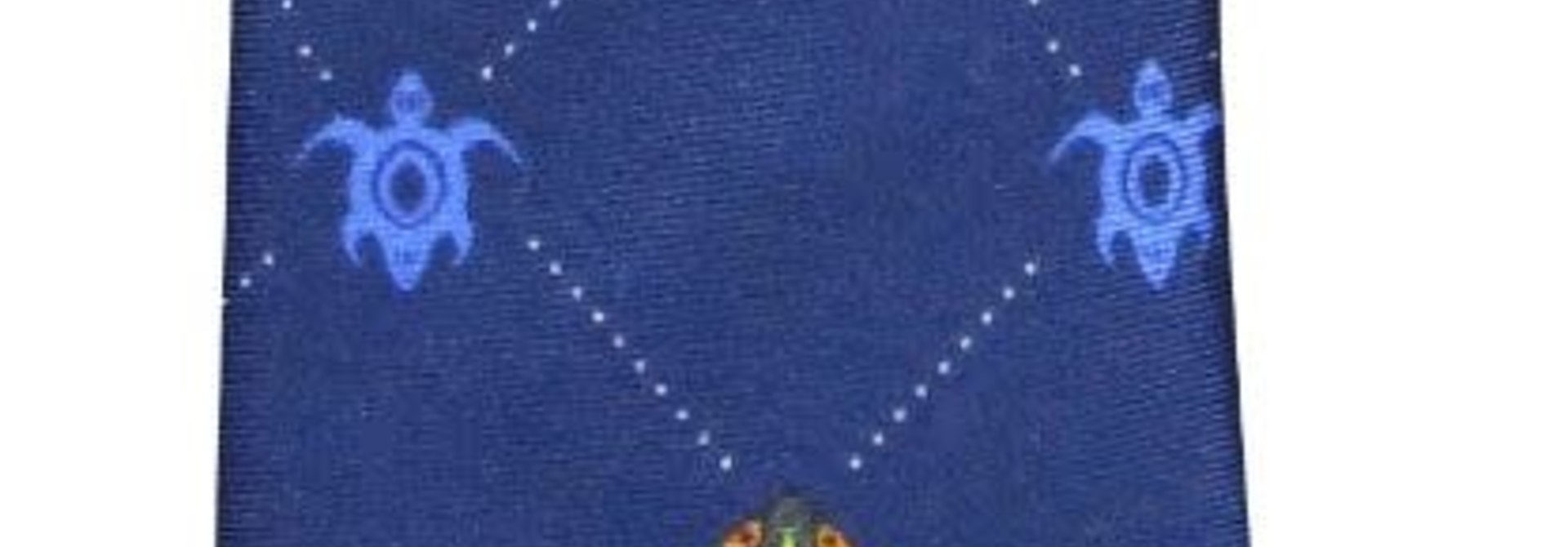 Silk Boxed Tie - Medicine Turtle by James Jacko