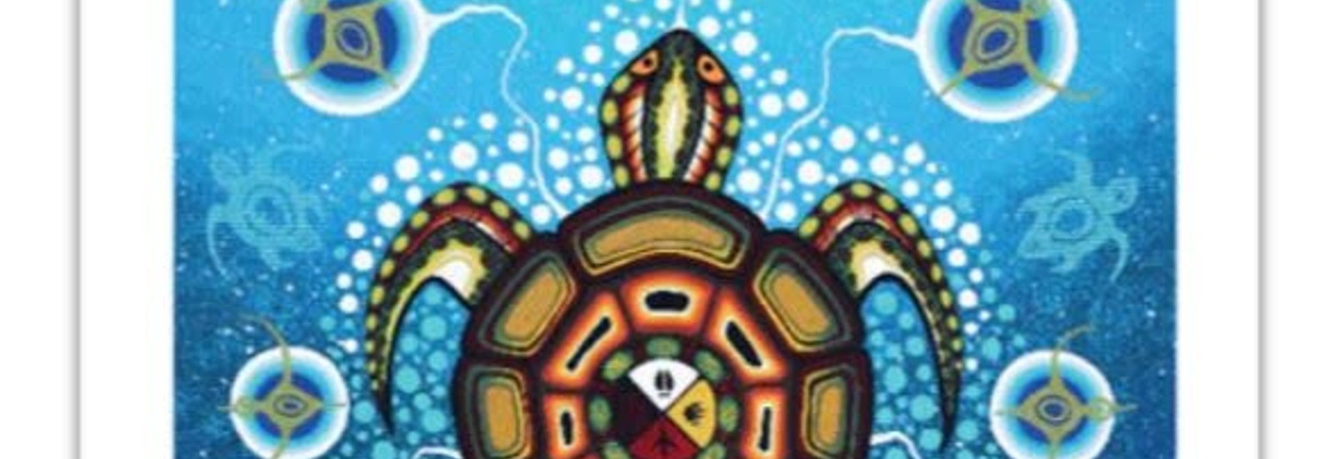 Art Card- Medicine Turtle by James Jacko