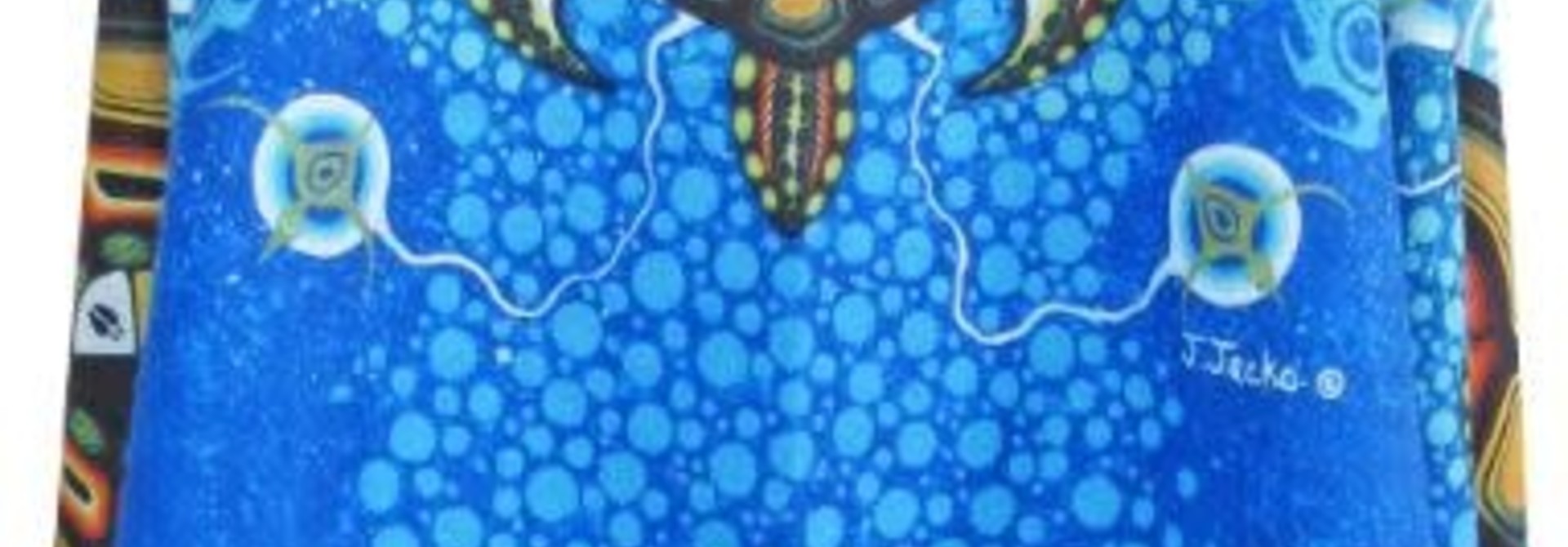 Art Print Shawl-Medicine Turtle-James Jacko