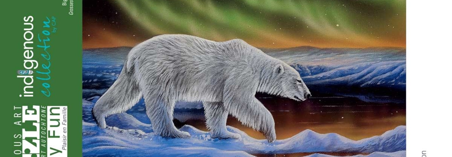500 Piece Puzzle - Polar Night by Ronnie Simon