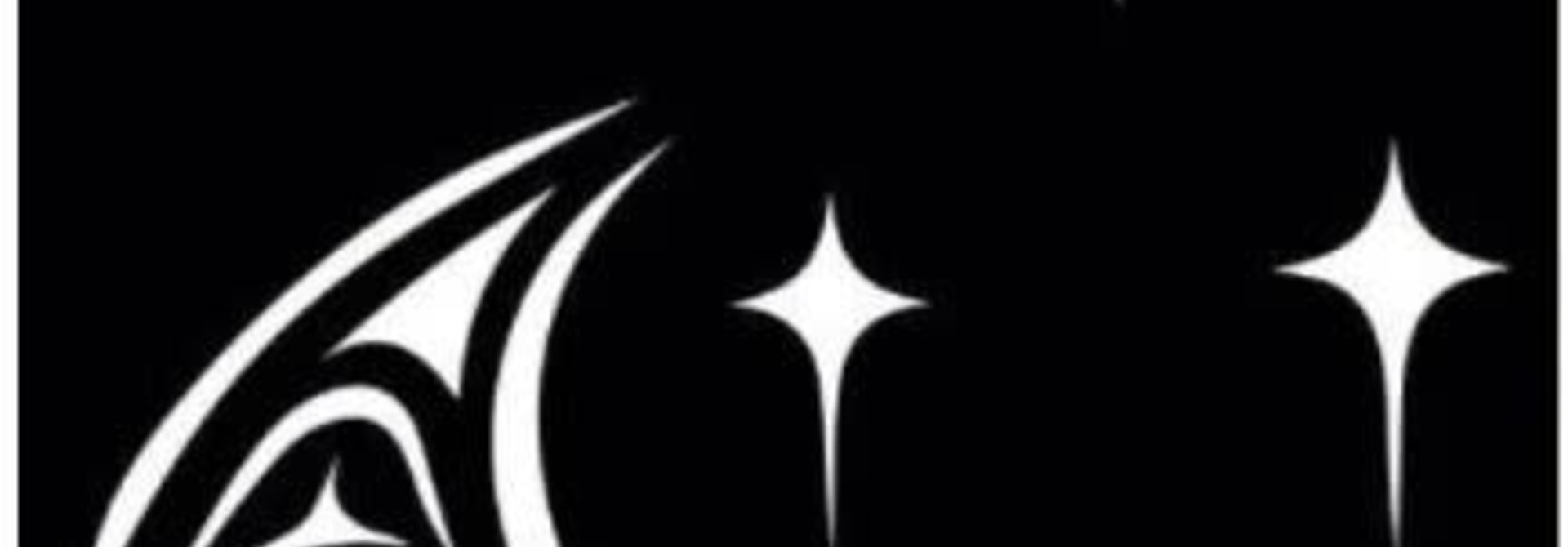 Privacy Screen 2'x4' Black - Moonlit Night by Noel Brown