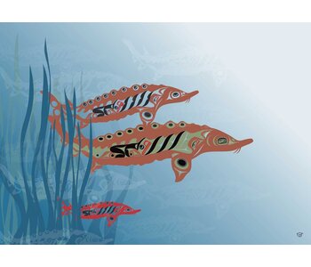 Framed art Card Sturgeon by Mark Preston