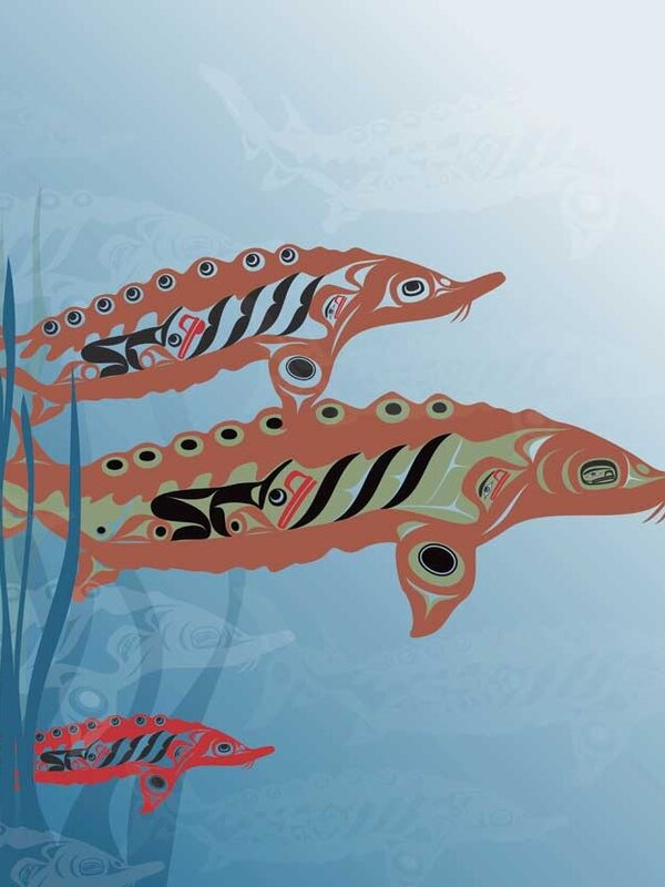 Framed art Card Sturgeon by Mark Preston
