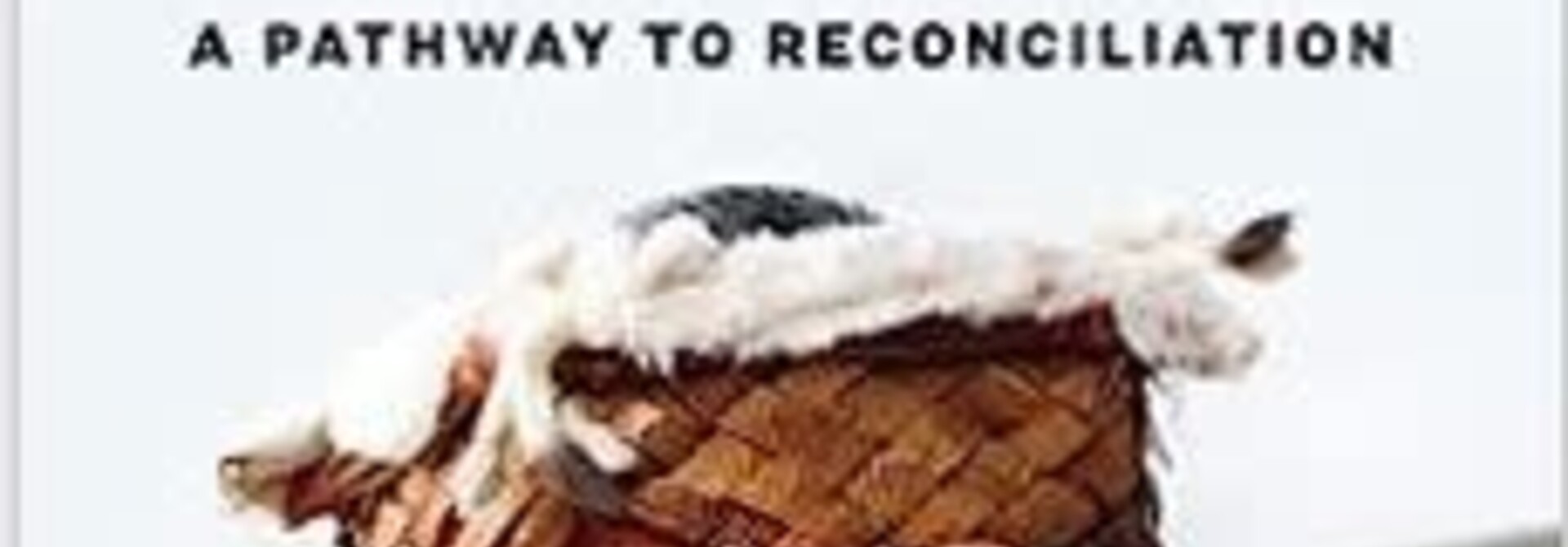 Book - Namwayut - We are all one : A pathway to reconciliation by Chief Robert Joseph