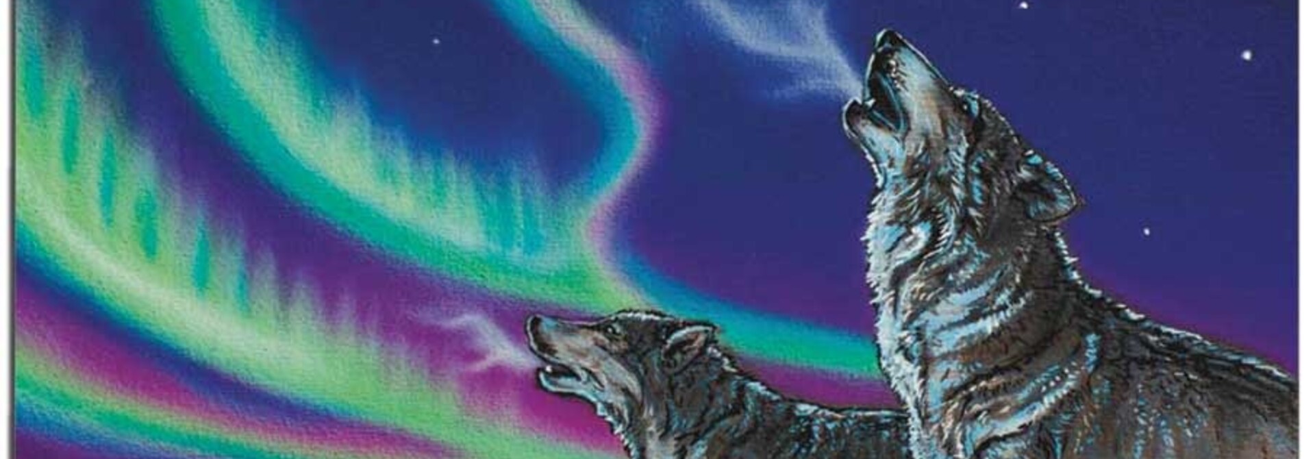 Sky Dance - Wolf Song sketchbook by Amy Keller -Rempp