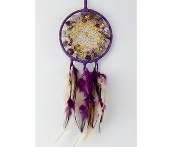 4" Purple Vision Seeker Cluster Dream Catcher.