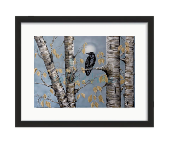 Framed & Matted Art Card - A Moment of Peace by Shelley Davies