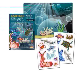 Magnetic Animals - Animals of the Salish Sea - In the Ocean