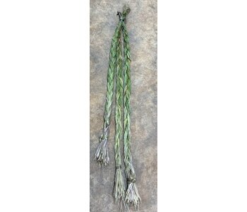 Bulk Sweetgrass braids 3pkg. (19"-26" )