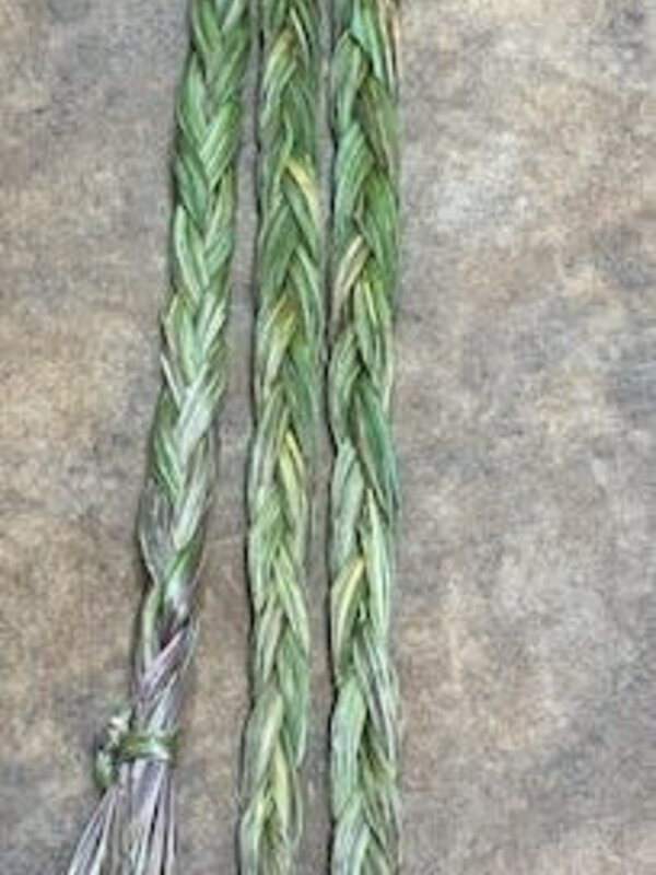 Bulk Sweetgrass braids 3pkg. (19"-26" )
