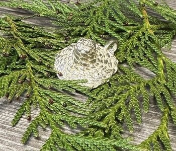 Sterling silver Cast Cedar Hat Pendant by Michael Hill