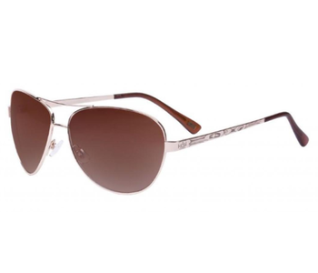 Arrow Sunglasses - Hummingbird - Gold by Corrine Hunt