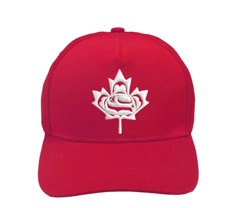 Standing Together Baseball Cap - design by Curtis Wilson