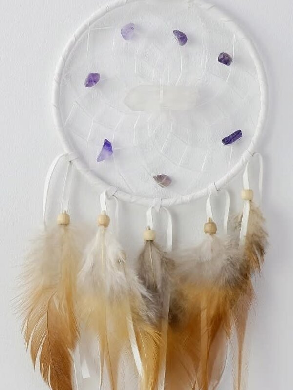 4" Vision Seeker Dream Catcher - White
