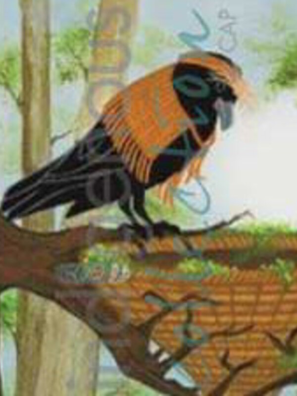 Bookmark Watching Over You by Shelley Davies