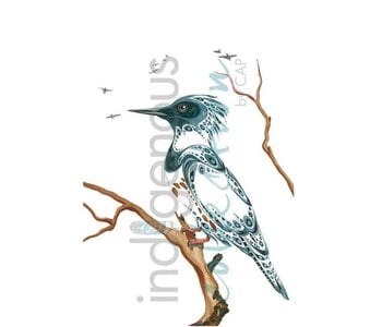 Framed and dry Mounted Kingfisher by Ray Baptiste