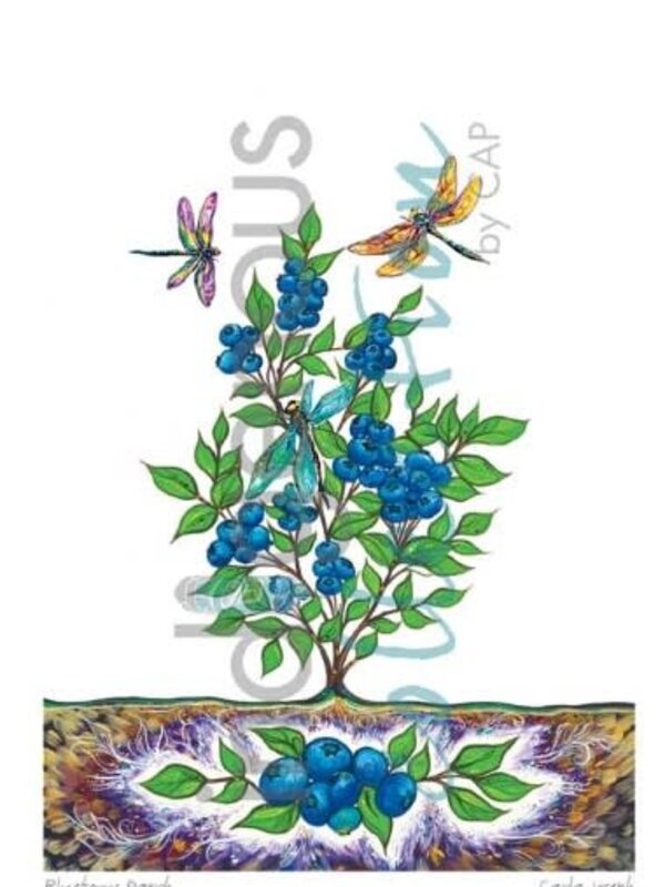 9 x 6 Art Card Blueberry Patch by Carla Joseph