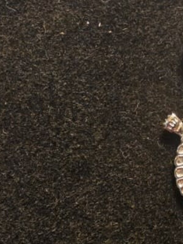 Turtle Teachings earrings with inlay by Jadoen Rathgeber