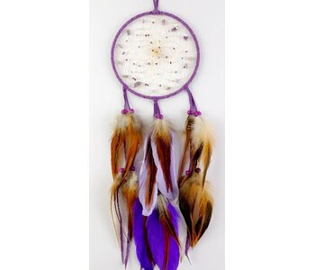 5" Purple Ombre Beaded Dream Catcher