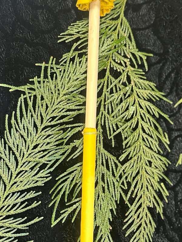 Lg Drum Stick by Michael Rawcliffe ( Sabian)