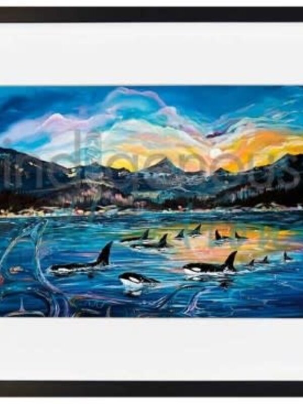 Matted & Framed Art card Orca Pod - Carla Joseph