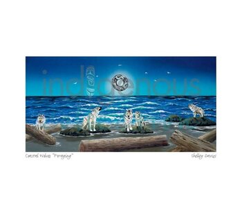 6"x9" Art Card Coastal Wolves " Foraging " by Shelley Davies