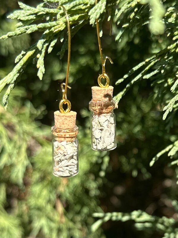 Sage Earrings by Johnathan Whonnock