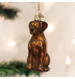 Old World Christmas Chocolate Labrador Ornament