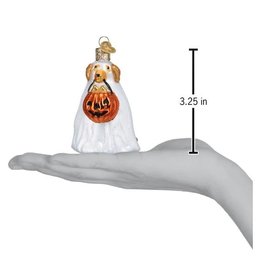 Old World Christmas Trick or Treat Pooch Ornament