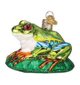 Old World Christmas Red-Eyed Tree Frog