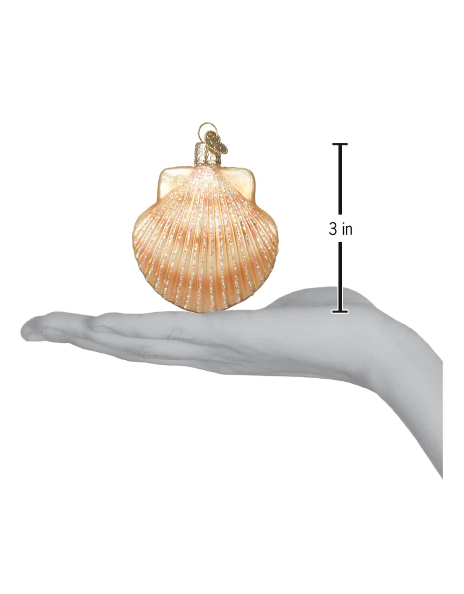 Old World Christmas Scallop Clam Shell Ornament