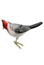 Old World Christmas Red-Crested Cardinal Clip Ornament