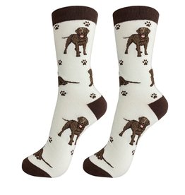 E&S Pets Full Body Chocolate Labrador Socks