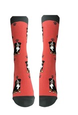 E&S Pets Full Body Bernese Mt. Dog Socks