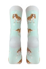 E&S Pets Full Body King Charles Cavalier Socks