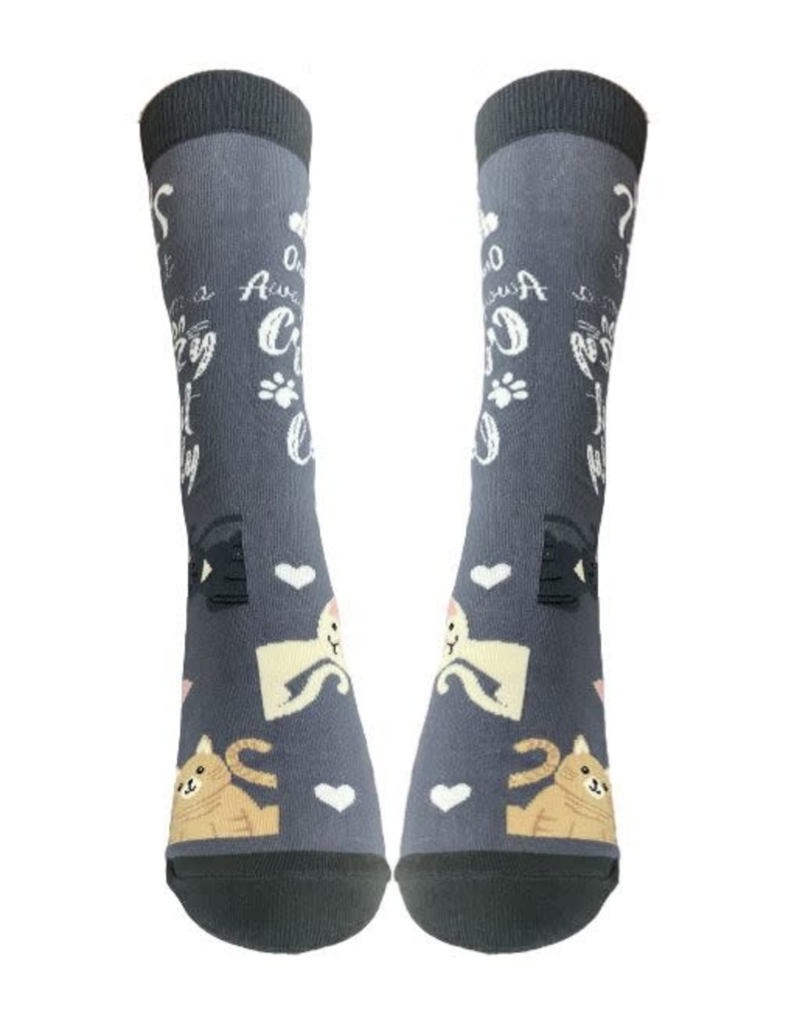 E&S Pets Crazy Cat Lady Socks