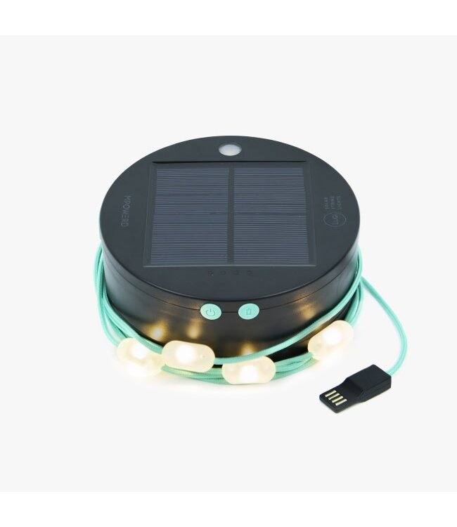 Luci Light Luci Solar White String Lights