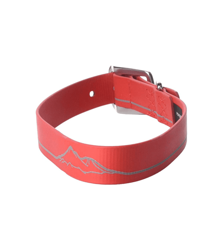 Ruffwear Headwater Dog Collar