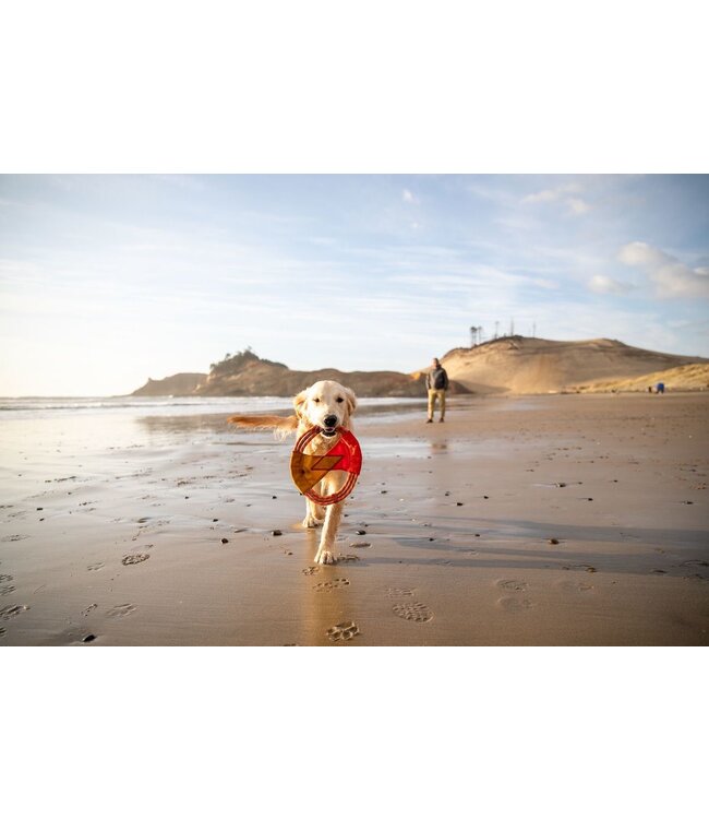 Ruffwear Pacific Ring Dog Toy