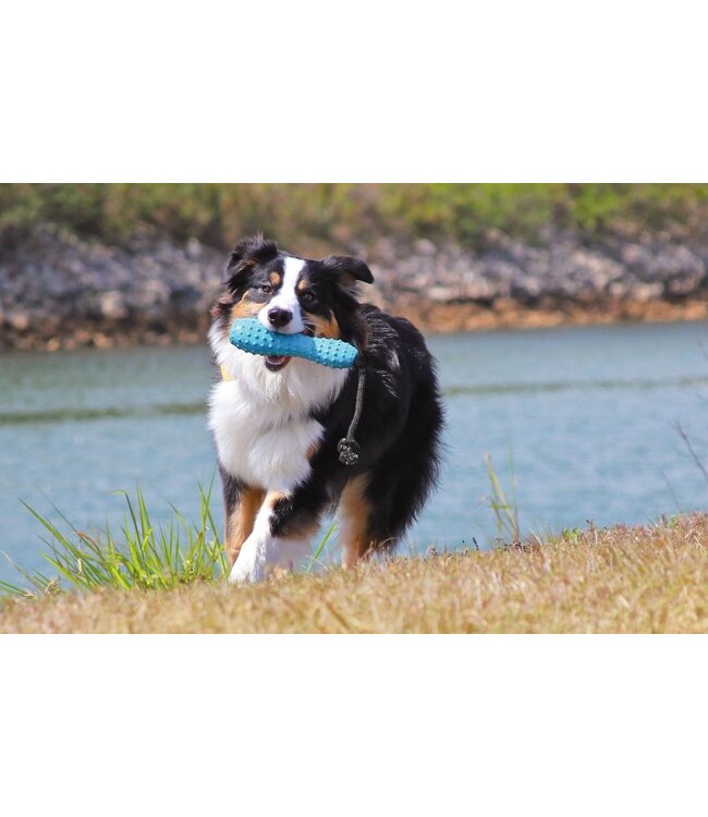 Ruffwear Gourdo Dog Toy