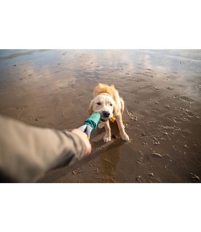 Ruffwear Pacific Loop Dog Toy
