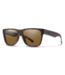 Smith Optics Lowdown 2 CORE Matte Tortoise Polarized Brown