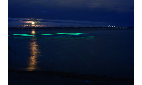 Moonlight Paddle