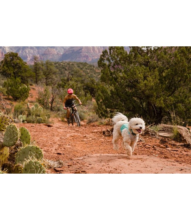 Ruffwear Swamp Cooler Zip Cooling Dog Vest