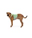 Ruffwear Swamp Cooler Zip Vest