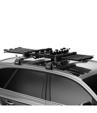Thule Snowpack