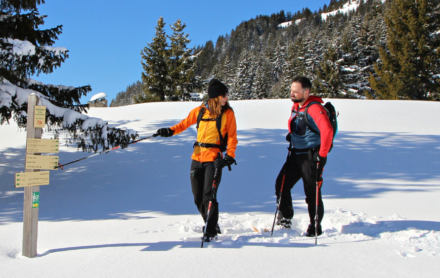 Snowshoes
