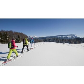Snowshoe Rentals