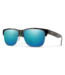 Smith Optics Lowdown Split